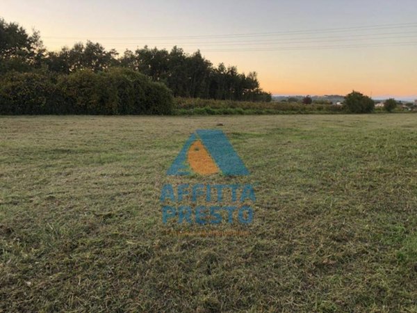 terreno agricolo in vendita ad Empoli in zona Marcignana