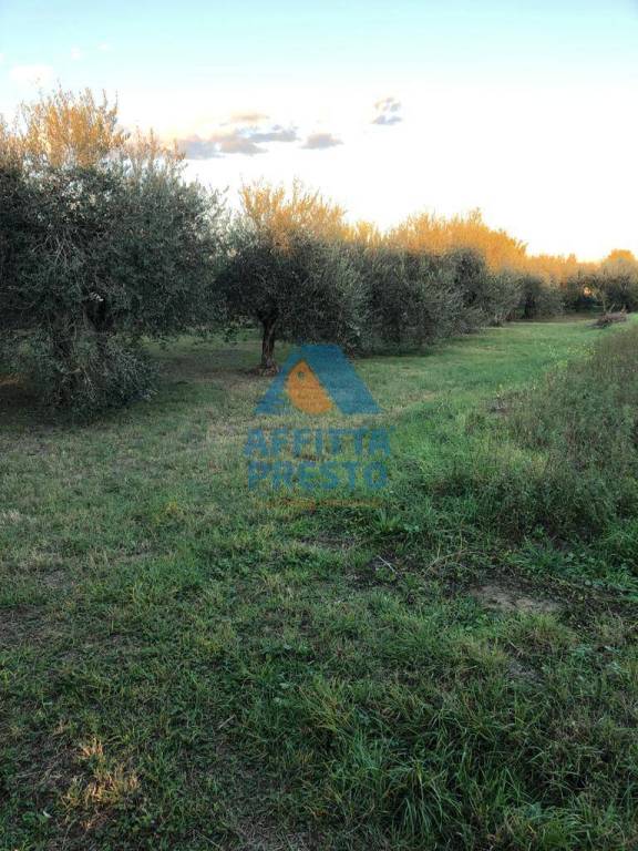 terreno agricolo in vendita ad Empoli in zona Marcignana