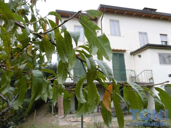 casa indipendente in vendita ad Empoli