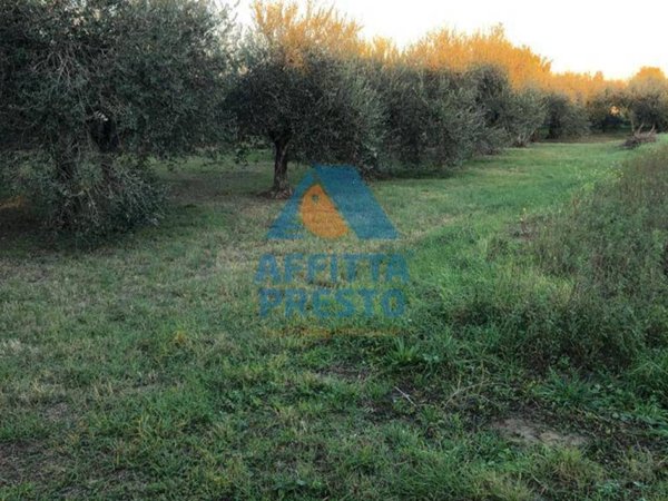 terreno agricolo in vendita ad Empoli in zona Marcignana