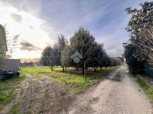 terreno agricolo in vendita ad Empoli in zona Marcignana