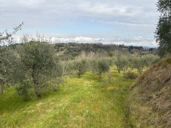 terreno agricolo in vendita ad Empoli in zona Corniola