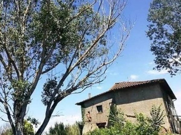 casa indipendente in vendita ad Empoli in zona Carraia