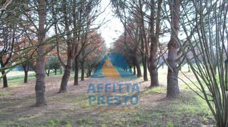 terreno agricolo in vendita ad Empoli