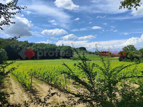 terreno agricolo in vendita ad Empoli