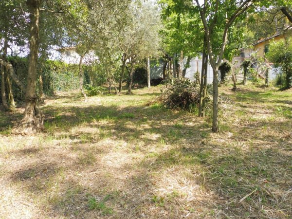 casa indipendente in vendita ad Empoli