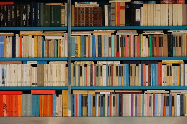 negozio in vendita ad Empoli