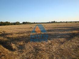terreno agricolo in vendita ad Empoli