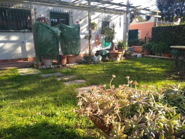 casa indipendente in vendita ad Empoli in zona Brusciana