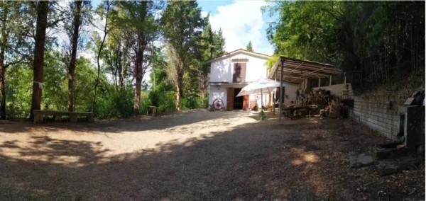 casa indipendente in vendita ad Empoli in zona Corniola