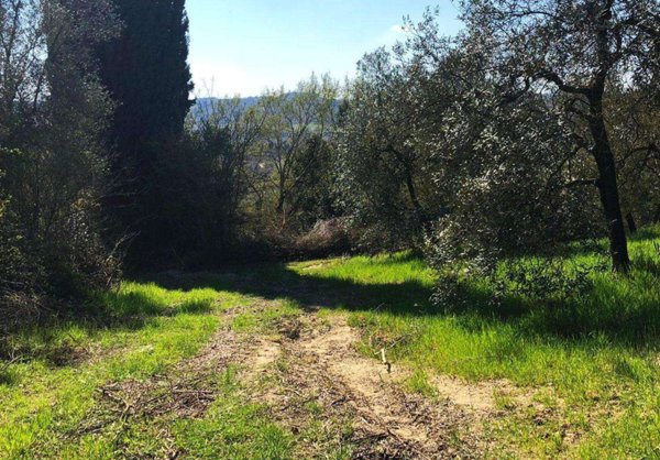 terreno agricolo in vendita ad Empoli in zona Monterappoli
