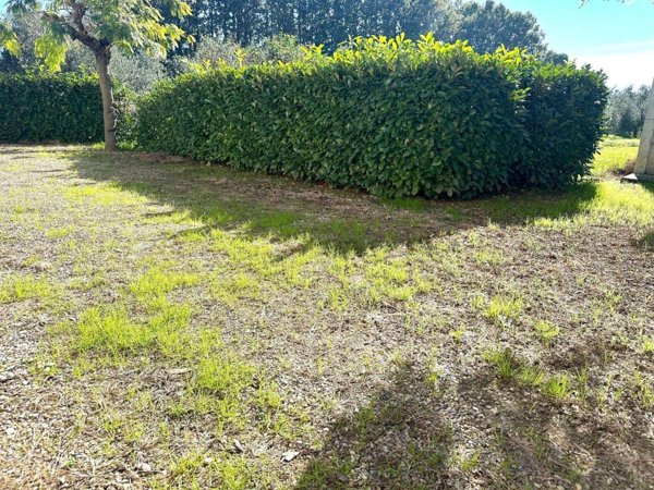 casa indipendente in vendita ad Empoli in zona Pagnana