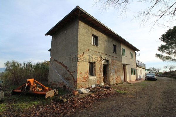 esavano in vendita ad Empoli in zona Monterappoli