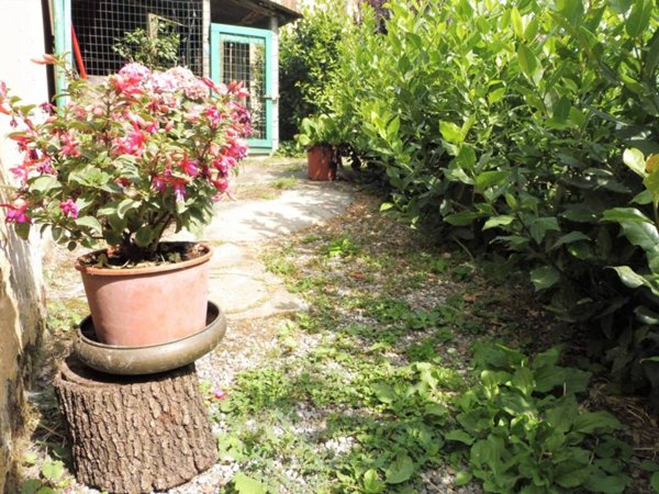 casa indipendente in vendita ad Empoli in zona Brusciana