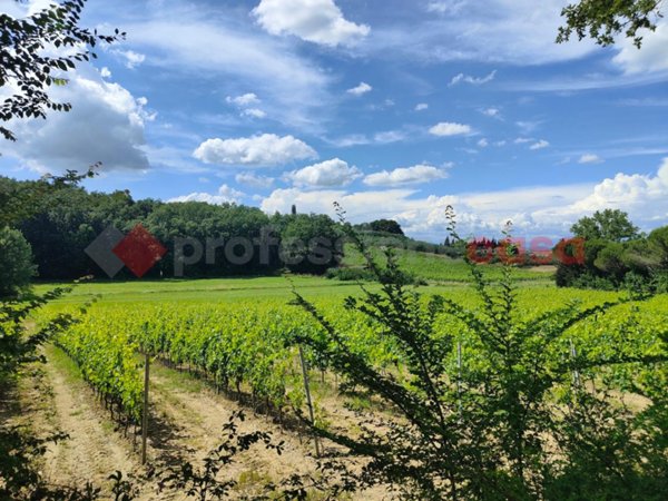 terreno agricolo in vendita ad Empoli