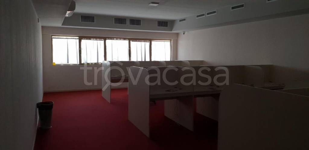 immagine annuncio 0 di 15