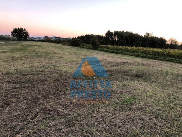 terreno agricolo in vendita ad Empoli in zona Marcignana
