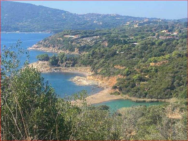 terreno agricolo in vendita ad Empoli