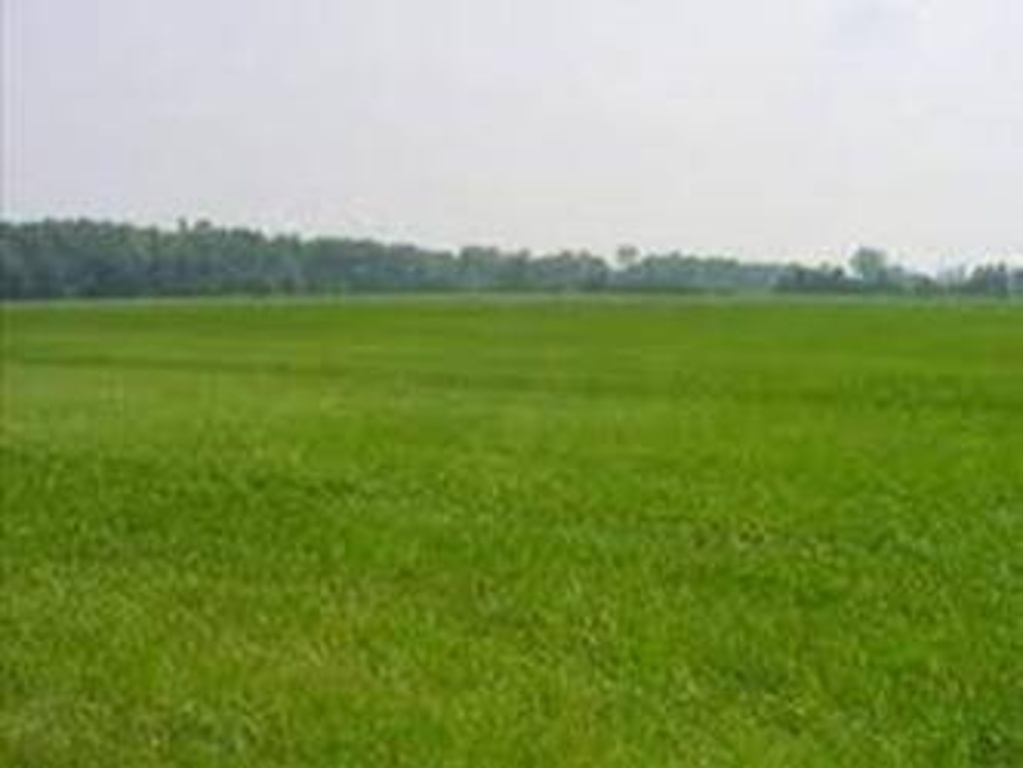 terreno agricolo in vendita ad Empoli