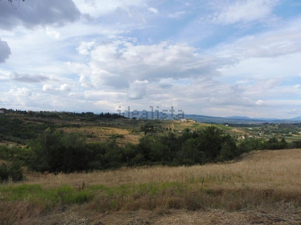esavano in vendita ad Empoli