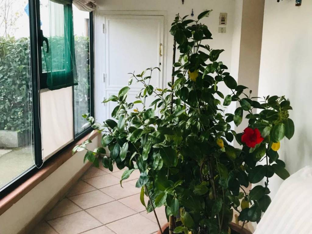 casa indipendente in vendita ad Empoli in zona Ponzano