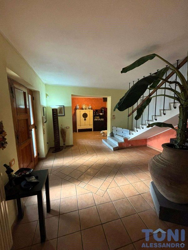 immagine annuncio 0 di 10