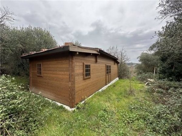 terreno agricolo in vendita ad Empoli