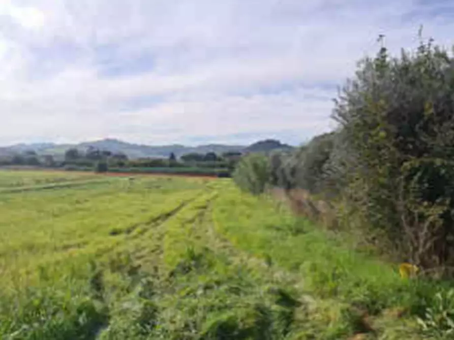 terreno agricolo in vendita ad Empoli