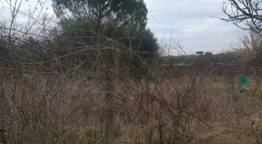 terreno agricolo in vendita ad Empoli