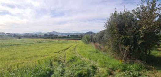 terreno agricolo in vendita ad Empoli