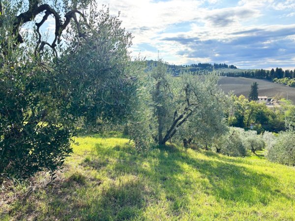 terreno agricolo in vendita ad Empoli