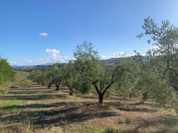 terreno agricolo in vendita ad Empoli