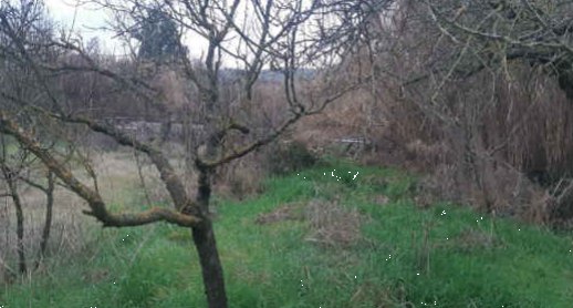 terreno agricolo in vendita ad Empoli