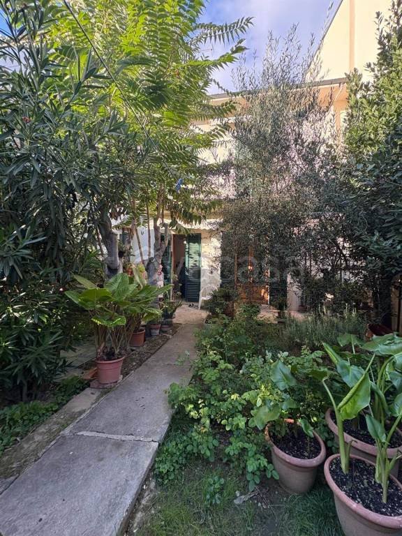 casa indipendente in vendita ad Empoli