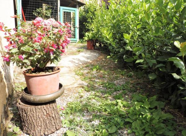 casa indipendente in vendita ad Empoli in zona Brusciana