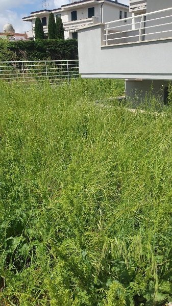 casa indipendente in vendita ad Empoli in zona Pontorme