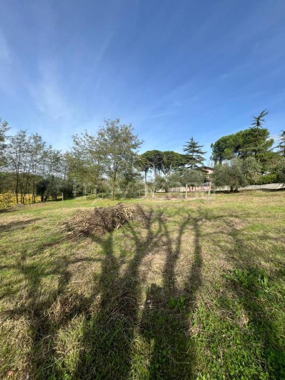 terreno agricolo in vendita ad Empoli in zona Monterappoli