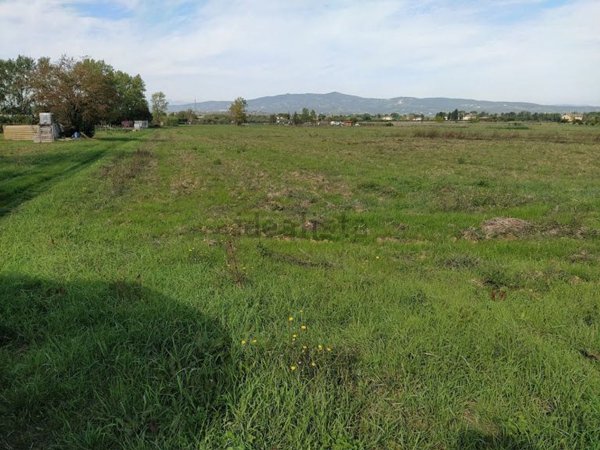 terreno agricolo in vendita ad Empoli