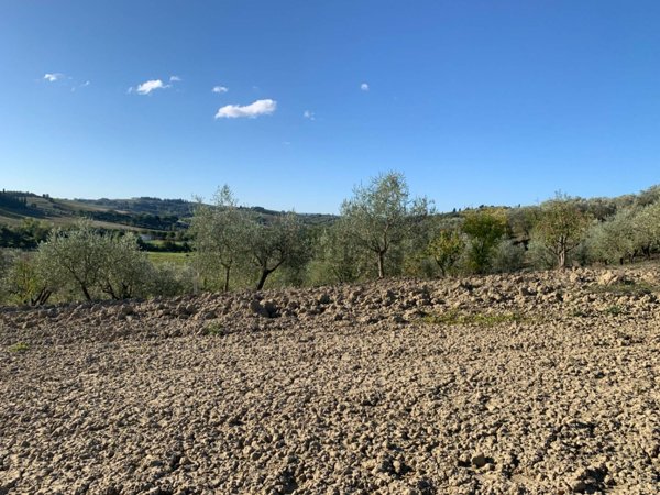 terreno agricolo in vendita ad Empoli