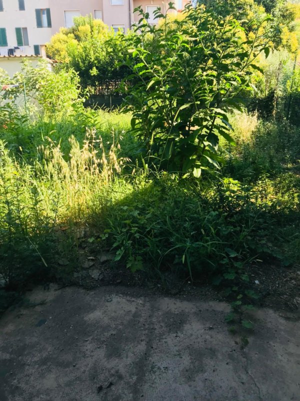 casa indipendente in vendita ad Empoli