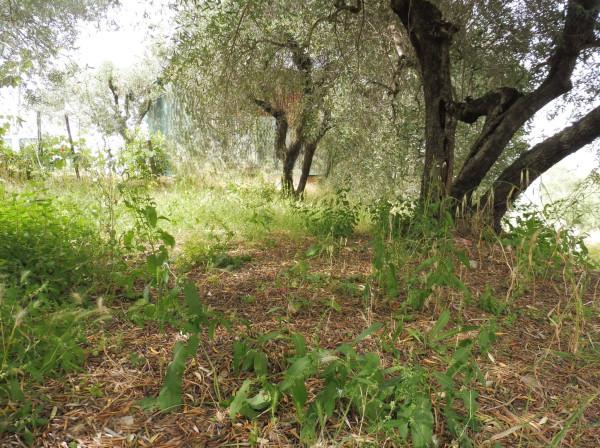casa indipendente in vendita ad Empoli in zona Monterappoli