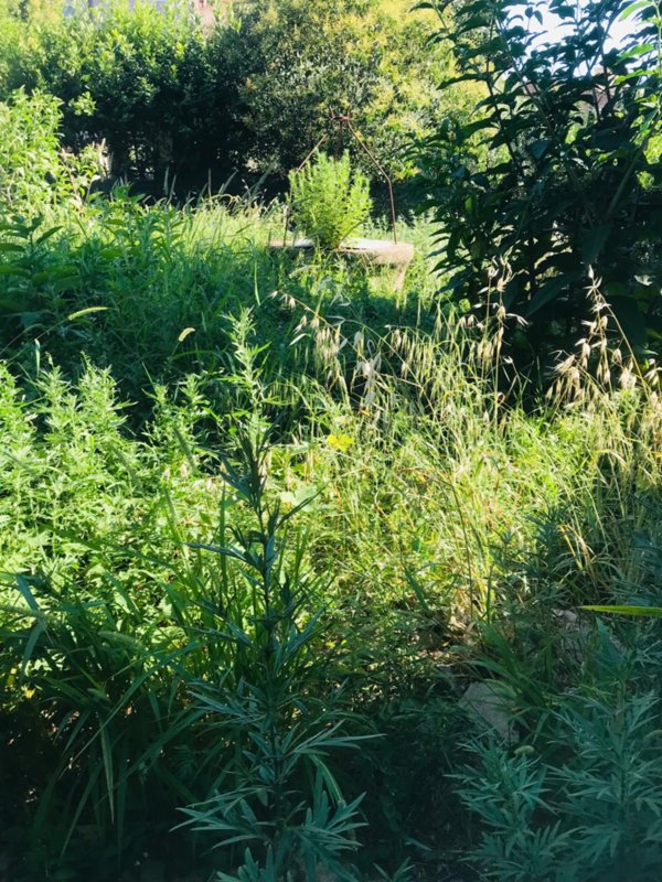 casa indipendente in vendita ad Empoli