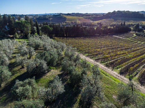 azienda agricola in vendita ad Empoli