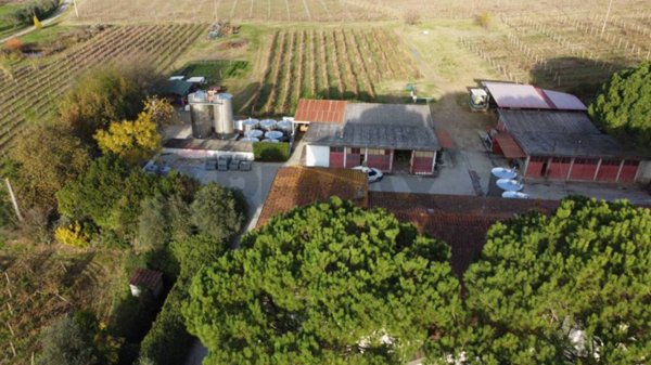 azienda agricola in vendita ad Empoli in zona Sant'Andrea