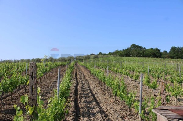 terreno agricolo in vendita ad Empoli in zona Monterappoli