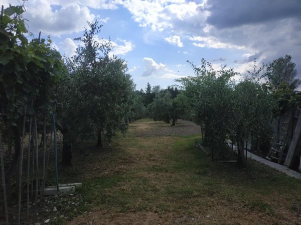 terreno agricolo in vendita ad Empoli
