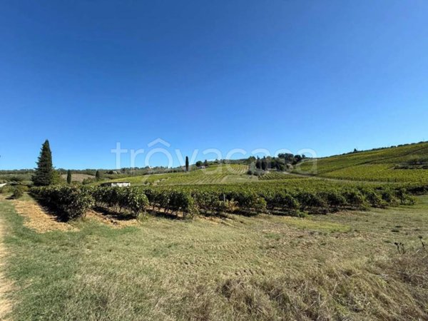 terreno agricolo in vendita ad Empoli in zona Monterappoli