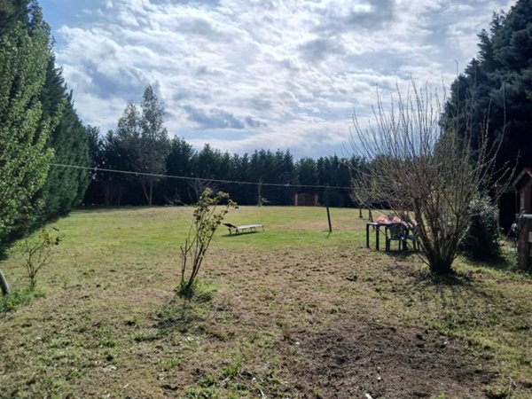 terreno agricolo in vendita ad Empoli