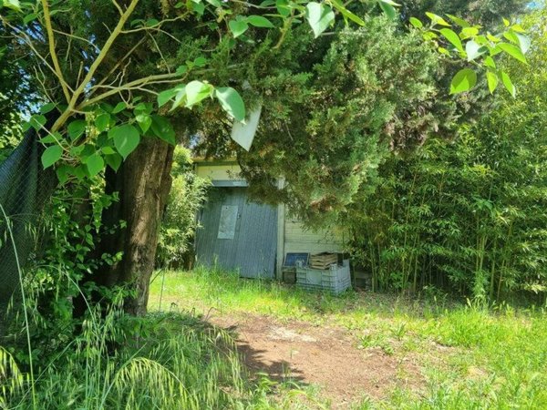 terreno agricolo in vendita ad Empoli in zona Carraia
