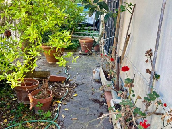 casa indipendente in vendita ad Empoli